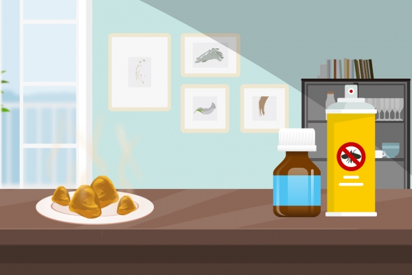 夏天床上如何除蟲效果好 夏天床上除蟲效果好的方法-易網<a href=http://www.xllyou.com/ target=_blank class=infotextkey>健康養生</a>網 夏天床上如何除蟲效果好 夏天床上除蟲效果好的方法