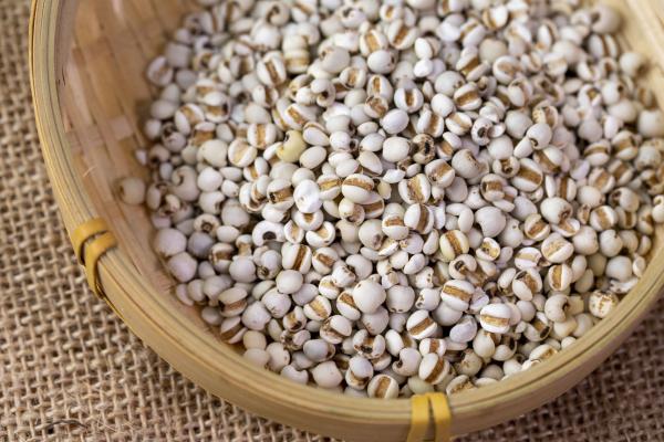 薏米怎么吃去濕氣效果好 食用薏米的注意事項