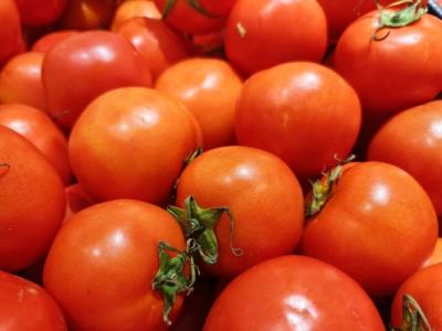 西紅柿的特性 夏季高溫西紅柿怎么保存好