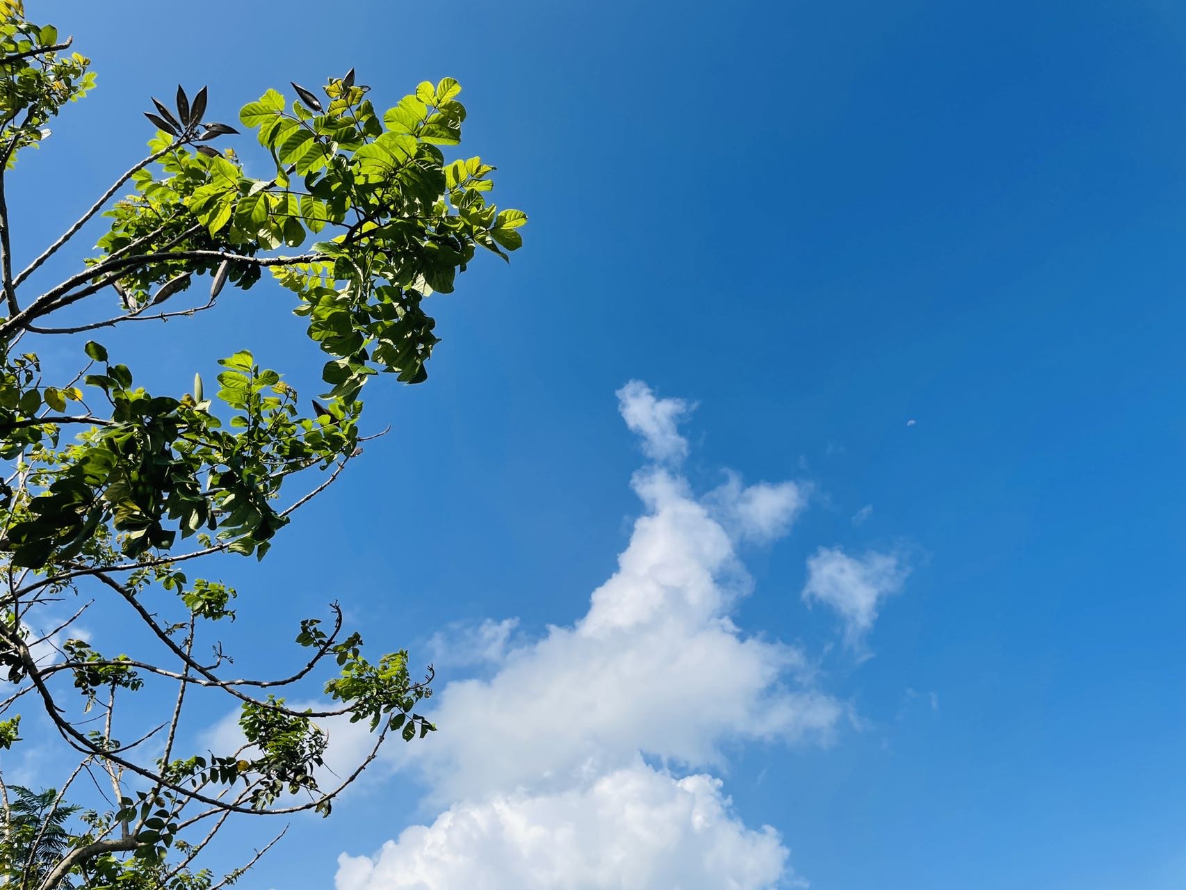 中暑的癥狀及緩解方法 中暑了怎么辦-易網<a href=http://www.xllyou.com/ target=_blank class=infotextkey>健康養生</a>網 中暑的癥狀及緩解方法 中暑了怎么辦