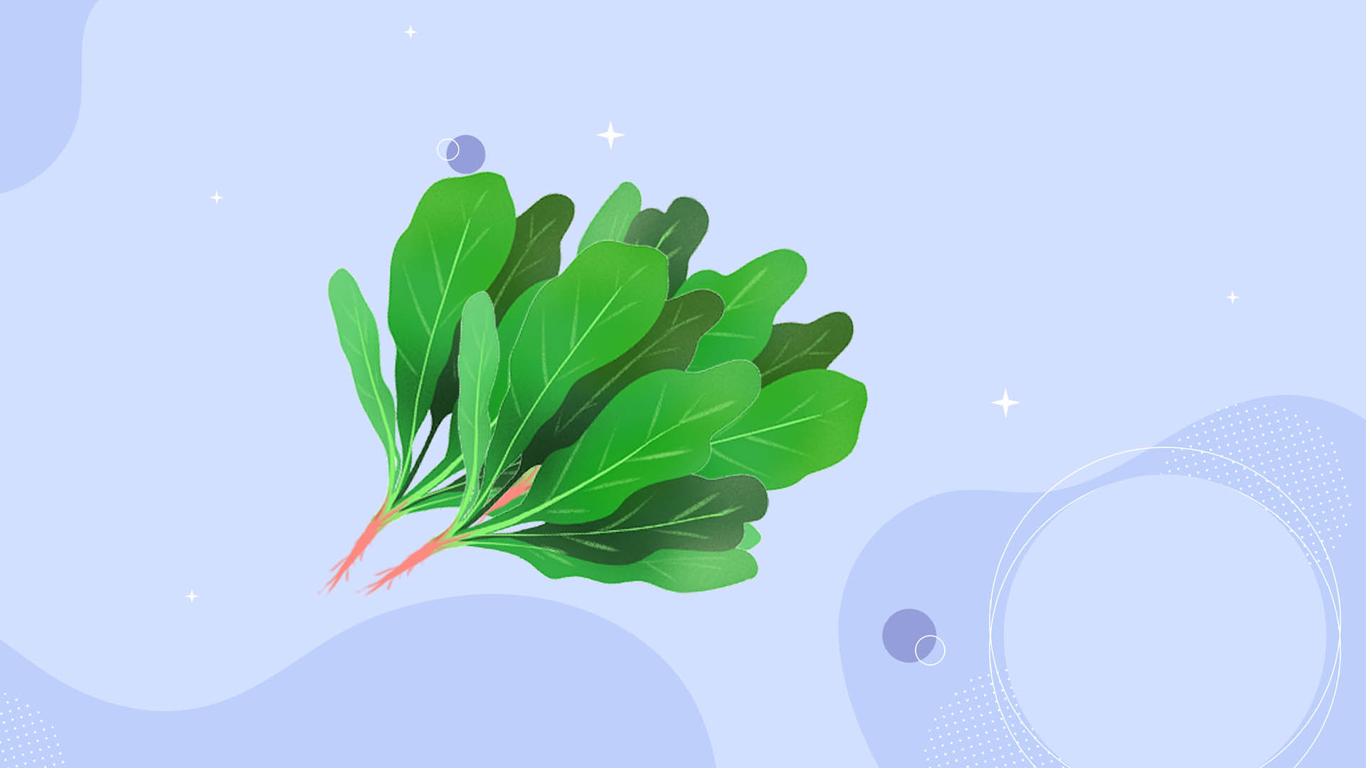 三伏天穿短褲涼快還是裙子 三伏天吃什么養生-易網健康養生網 三伏天穿短褲涼快還是裙子 三伏天吃什么養生