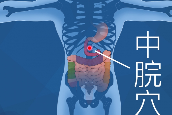 調脾胃三伏天貼什么穴位 三伏天貼敷注意事項-易網<a href=http://www.xllyou.com/ target=_blank class=infotextkey>健康養生</a>網 調脾胃三伏天貼什么穴位 三伏天貼敷注意事項