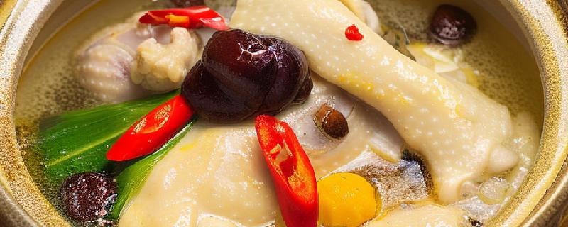 補脾的食物有哪些 補脾的食療有哪些