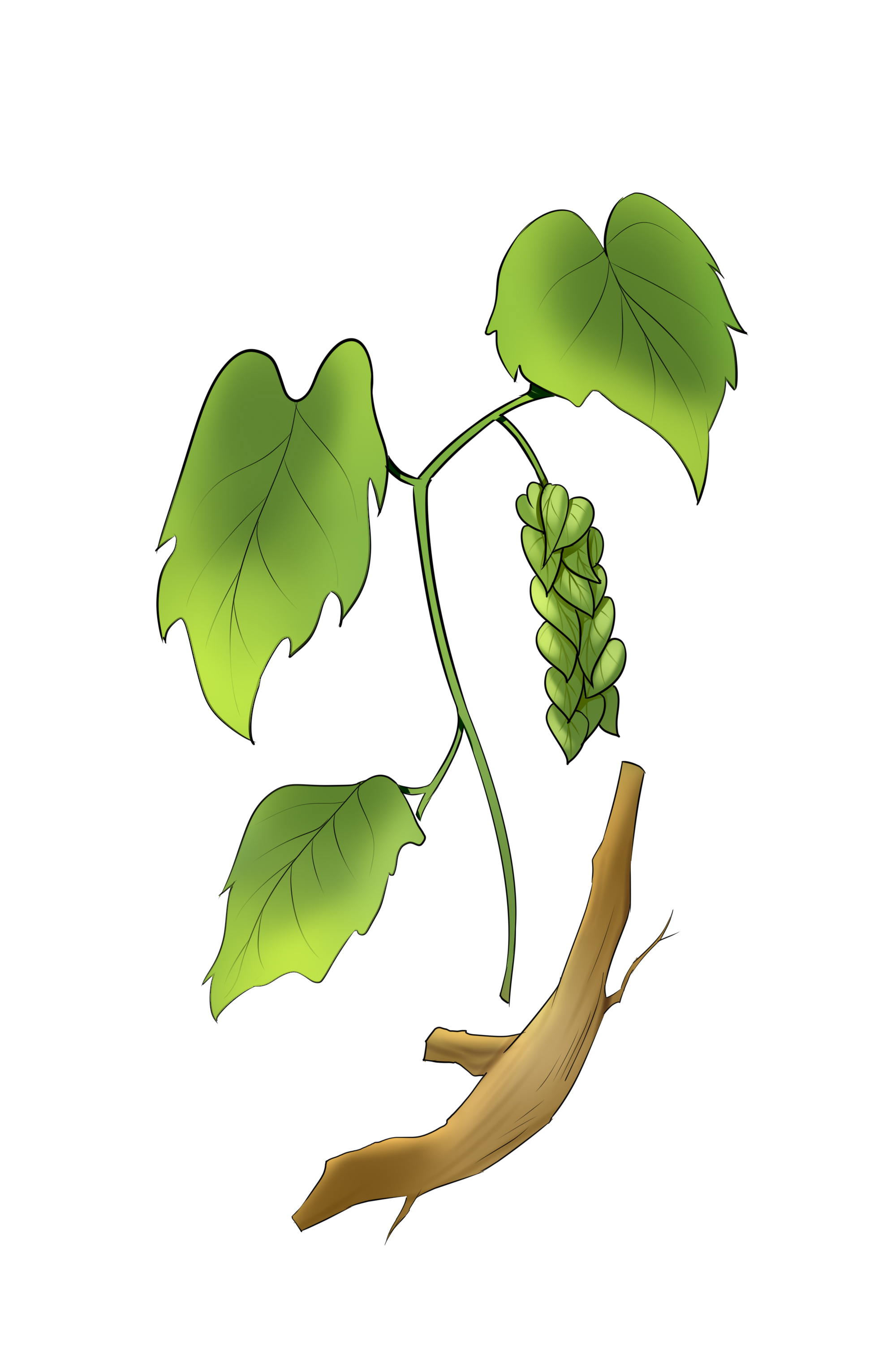 什么是陰虛體質 補陰虛的食物有哪些-易網健康<a href=http://www.xllyou.com/jkys/ target=_blank class=infotextkey>養生</a>網 什么是陰虛體質 補陰虛的食物有哪些