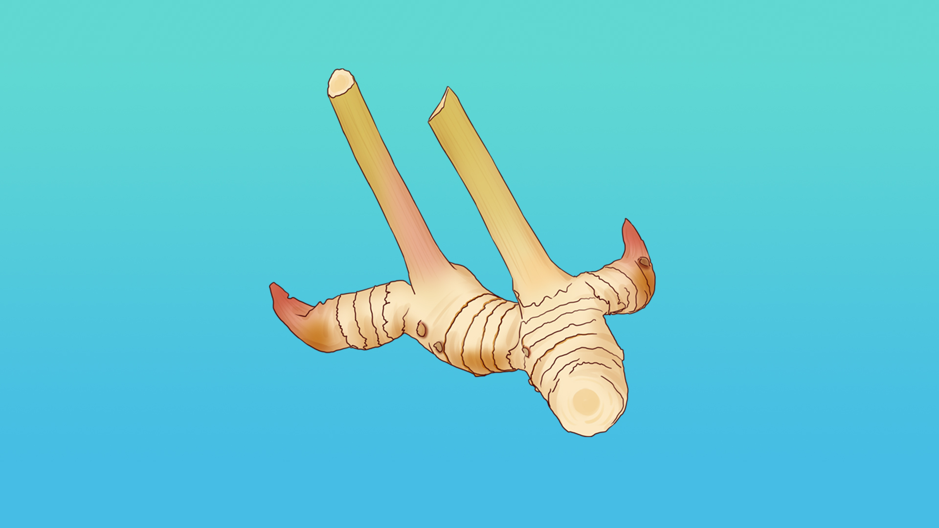 艾葉加什么泡水可排毒祛濕 艾葉煮水喝的功效-易網<a href=http://www.xllyou.com/ target=_blank class=infotextkey>健康養生</a>網 艾葉加什么泡水可排毒祛濕 艾葉煮水喝的功效