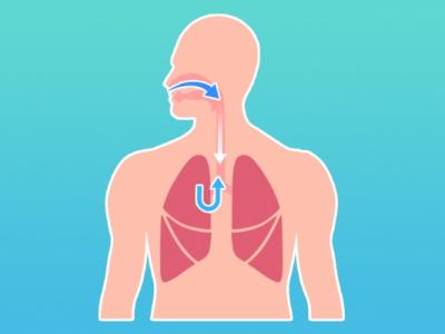 補(bǔ)肺潤(rùn)肺的食物有哪些 5個(gè)養(yǎng)肺小妙招