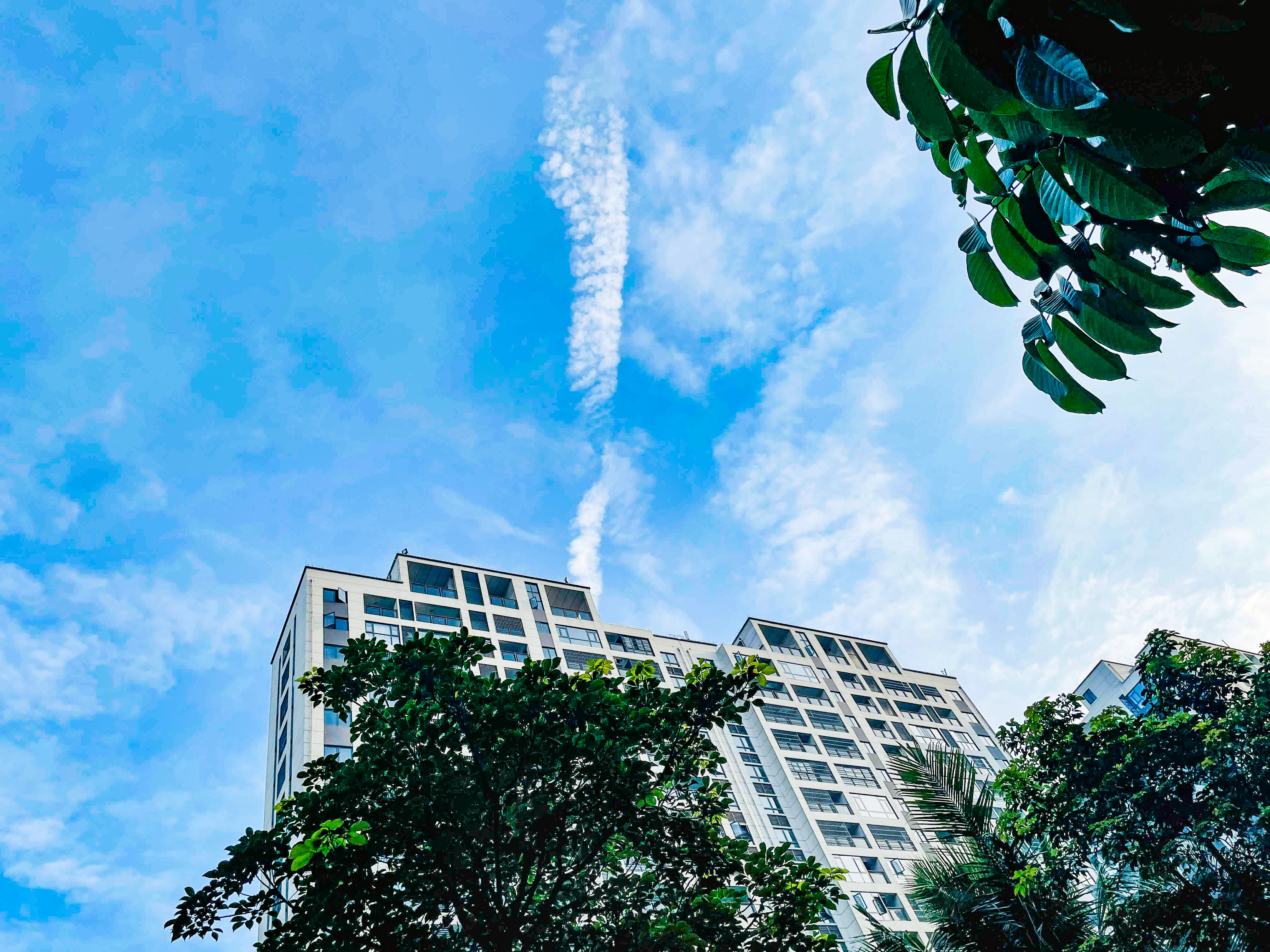 三伏天如何調理脾胃虛寒 三伏實用<a href=http://www.xllyou.com/jkys/ target=_blank class=infotextkey>養生</a>指南-易網<a href=http://www.xllyou.com/ target=_blank class=infotextkey>健康養生</a>網 三伏天如何調理脾胃虛寒 三伏實用養生指南