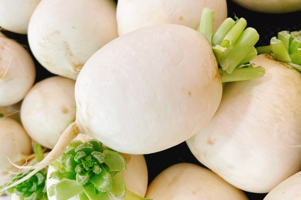 白蘿卜怎么吃止咳化痰 哪種蘿卜止咳化痰效果好-易網(wǎng)<a href=http://www.xllyou.com/ target=_blank class=infotextkey>健康養(yǎng)生</a>網(wǎng) 白蘿卜怎么吃止咳化痰 哪種蘿卜止咳化痰效果好