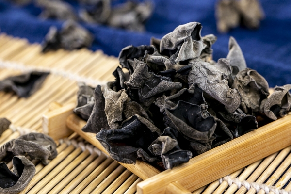 黑木耳保質期一般是多久 鮮木耳放了10天還能吃嗎-易網健康<a href=http://www.xllyou.com/jkys/ target=_blank class=infotextkey>養生</a>網 黑木耳保質期一般是多久 鮮木耳放了10天還能吃嗎