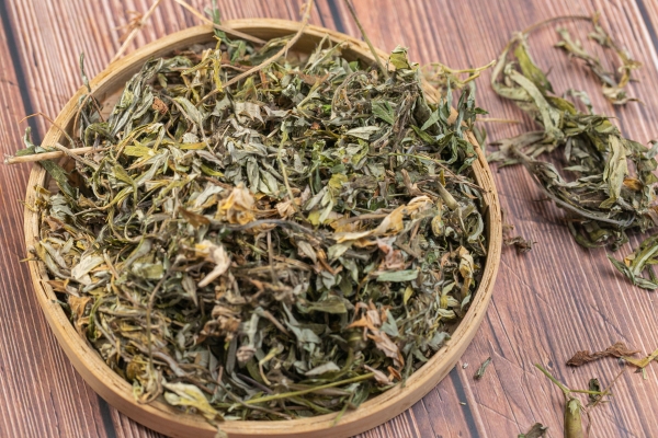 艾草洗腳能祛濕嗎 艾草洗腳的注意事項(xiàng)-易網(wǎng)<a href=http://www.xllyou.com/ target=_blank class=infotextkey>健康養(yǎng)生</a>網(wǎng) 艾草洗腳能祛濕嗎 艾草洗腳的注意事項(xiàng)