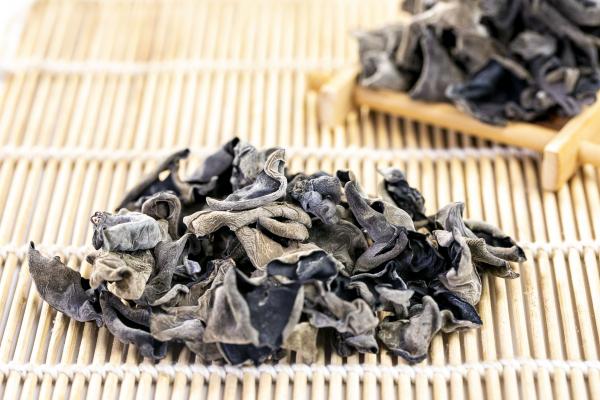 黑木耳是否可以天天吃 黑木耳不可以和什么一起吃-易網健康<a href=http://www.xllyou.com/jkys/ target=_blank class=infotextkey>養生</a>網 黑木耳是否可以天天吃 黑木耳不可以和什么一起吃