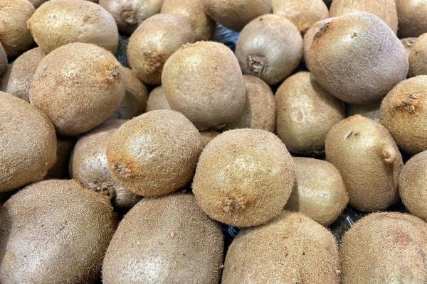 獼猴桃可以放在冰箱保鮮嗎 獼猴桃是冷藏還是常溫