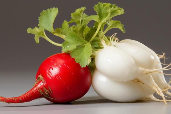 吃完菠蘿蜜千萬(wàn)不能碰的5種食物 菠蘿蜜如何儲(chǔ)存-易網(wǎng)健康<a href=http://www.xllyou.com/jkys/ target=_blank class=infotextkey>養(yǎng)生</a>網(wǎng) 吃完菠蘿蜜千萬(wàn)不能碰的5種食物 菠蘿蜜如何儲(chǔ)存