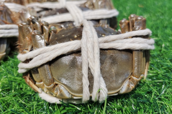 大閘蟹過了幾月份就不能吃了 哪些人群不能食用大閘蟹-易網(wǎng)<a href=http://www.xllyou.com/ target=_blank class=infotextkey>健康養(yǎng)生</a>網(wǎng) 大閘蟹過了幾月份就不能吃了 哪些人群不能食用大閘蟹