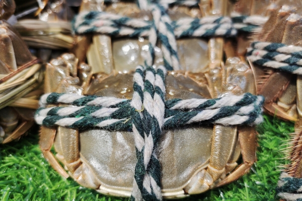 大閘蟹為什么不能放過夜 吃大閘蟹需要注意什么-易網(wǎng)健康<a href=http://www.xllyou.com/jkys/ target=_blank class=infotextkey>養(yǎng)生</a>網(wǎng) 大閘蟹為什么不能放過夜 吃大閘蟹需要注意什么