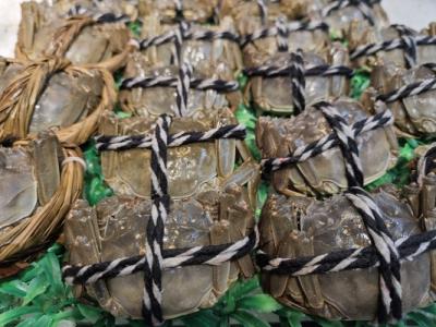 大閘蟹為什么不能蒸太久 大閘蟹怎么吃營養