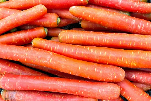 護眼明目吃什么好-易網健康養生網 護眼明目吃什么好