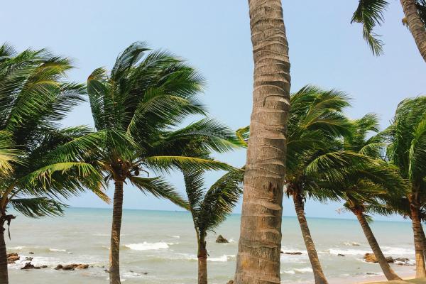 椰子水的功效與作用、禁忌和食用方法-易網(wǎng)健康養(yǎng)生網(wǎng) 椰子水的功效與作用、禁忌和食用方法