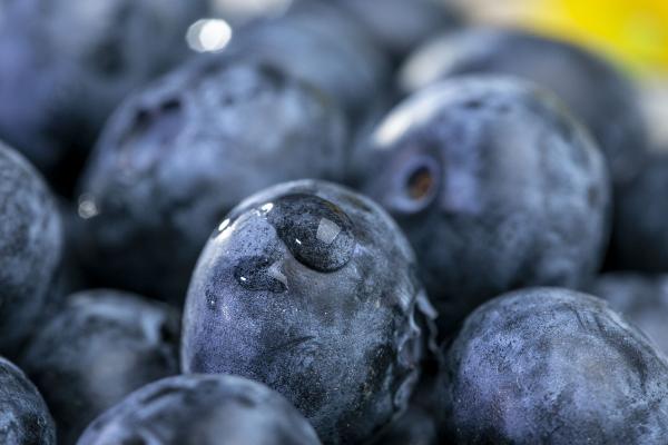 發燒能不能吃藍莓