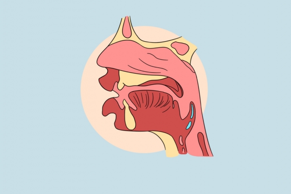 喉嚨卡魚刺的處理方法