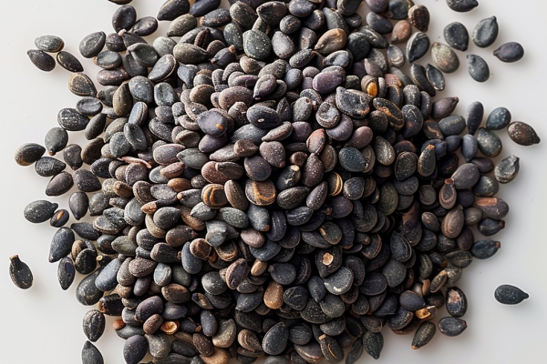 黑芝麻的功效與作用、禁忌和食用方法-易網健康<a href=http://www.xllyou.com/jkys/ target=_blank class=infotextkey>養生</a>網 黑芝麻的功效與作用、禁忌和食用方法