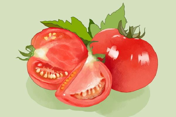 來月經可以吃西紅柿嗎-易網<a href=http://www.xllyou.com/ target=_blank class=infotextkey>健康養生</a>網 來月經可以吃西紅柿嗎