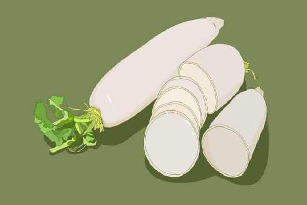 白蘿卜胡蘿卜可以一起吃嗎-易網(wǎng)健康<a href=http://www.xllyou.com/jkys/ target=_blank class=infotextkey>養(yǎng)生</a>網(wǎng) 白蘿卜胡蘿卜可以一起吃嗎