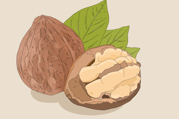 核桃露的功效與作用、禁忌和食用方法