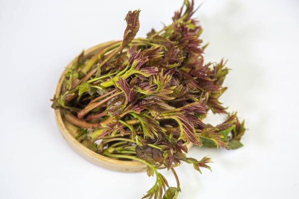 香椿芽有什么營養價值