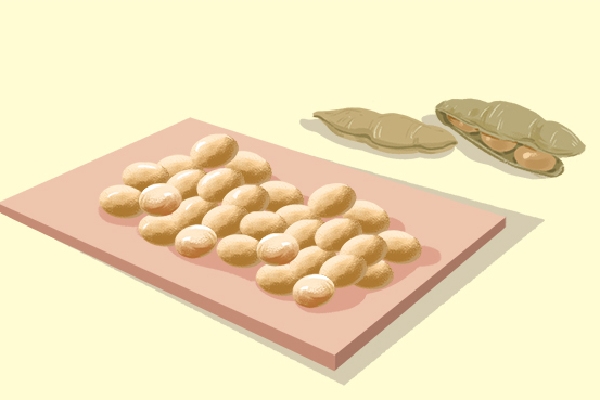 大豆低聚糖的作用與功效-易網健康<a href=http://www.xllyou.com/jkys/ target=_blank class=infotextkey>養生</a>網 大豆低聚糖的作用與功效