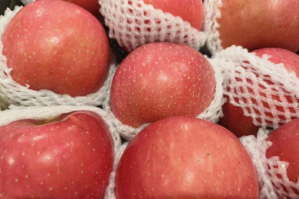 腹瀉可以吃蘋果嗎-易網<a href=http://www.xllyou.com/ target=_blank class=infotextkey>健康養生</a>網 腹瀉可以吃蘋果嗎