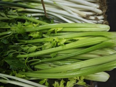 貧血能不能吃芹菜