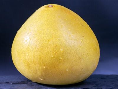 柚子皮的功效和作用