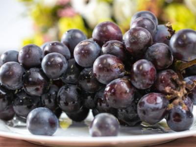 葡萄皮的功效與作用、禁忌和食用方法