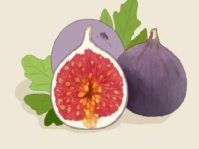 無花果干的功效與作用、禁忌和食用方法