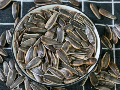 痛風能不能吃葵花瓜子