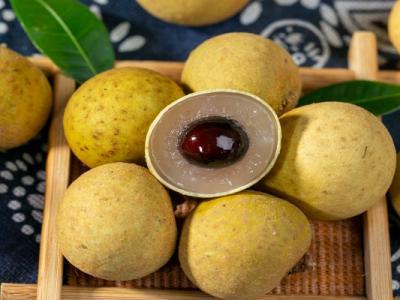 孕婦能吃桂圓嗎