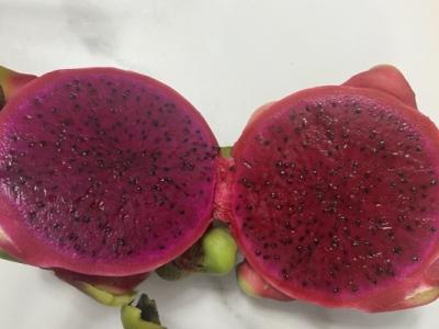 火龍果的功效與作用、禁忌和食用方法