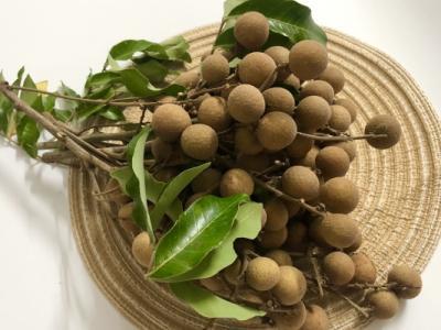 痛風(fēng)能不能吃龍眼