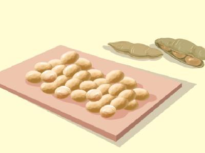 大豆低聚糖的作用與功效