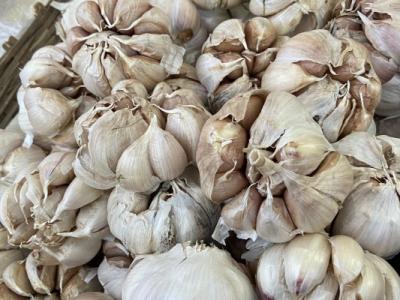 大蒜泡酒的功效與作用、禁忌和食用方法