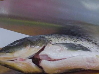 急性喉炎能不能吃黑魚