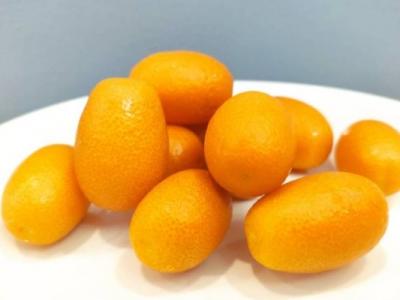 肥胖能不能吃金桔