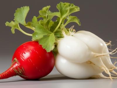 心里美蘿卜的功效與作用、禁忌和食用方法