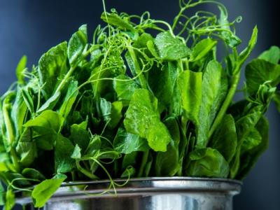 痛風能吃豌豆尖嗎