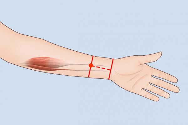 內關穴按摩的好處 按摩內關穴的正確方法-易網<a href=http://www.xllyou.com/ target=_blank class=infotextkey>健康養生</a>網 內關穴按摩的好處 按摩內關穴的正確方法
