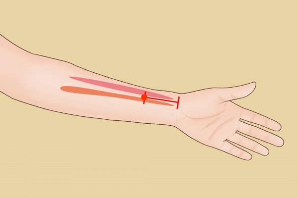內關穴按摩的好處 按摩內關穴的正確方法-易網健康<a href=http://www.xllyou.com/jkys/ target=_blank class=infotextkey>養生</a>網 內關穴按摩的好處 按摩內關穴的正確方法