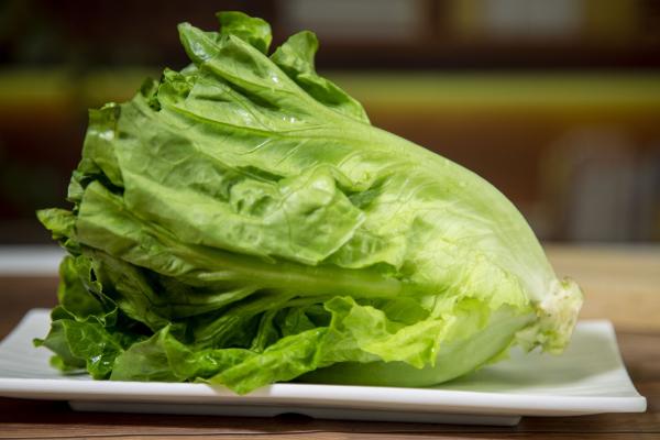 圓生菜的功效與作用、禁忌和食用方法-易網(wǎng)<a href=http://www.xllyou.com/ target=_blank class=infotextkey>健康養(yǎng)生</a>網(wǎng) 圓生菜的功效與作用、禁忌和食用方法