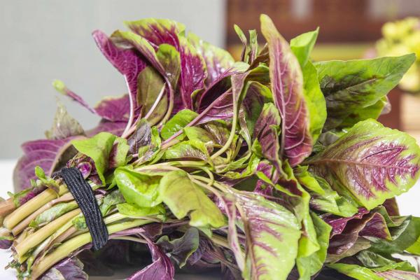 莧菜的功效與作用、禁忌和食用方法-易網<a href=http://www.xllyou.com/ target=_blank class=infotextkey>健康養生</a>網 莧菜的功效與作用、禁忌和食用方法