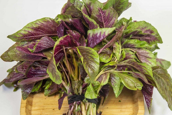 莧菜的功效與作用、禁忌和食用方法-易網健康養生網 莧菜的功效與作用、禁忌和食用方法